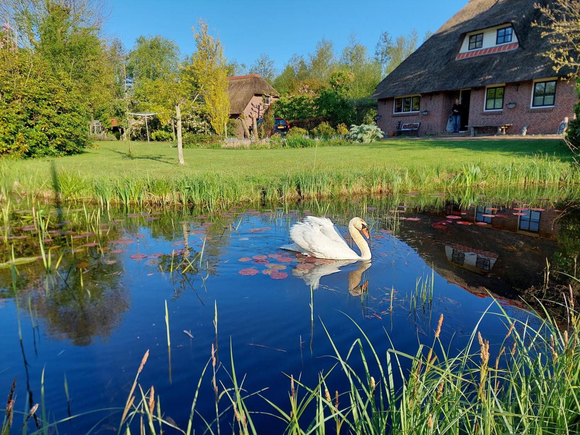 Giethoorn Lodge Eksteriør billede
